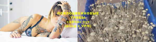 мдма Переславль-Залесский