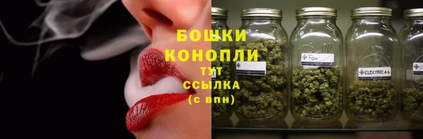 стаф Покачи