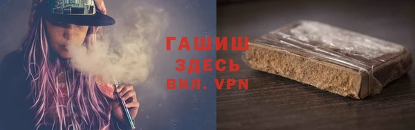 СК Гатчина