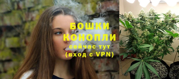винт Пересвет